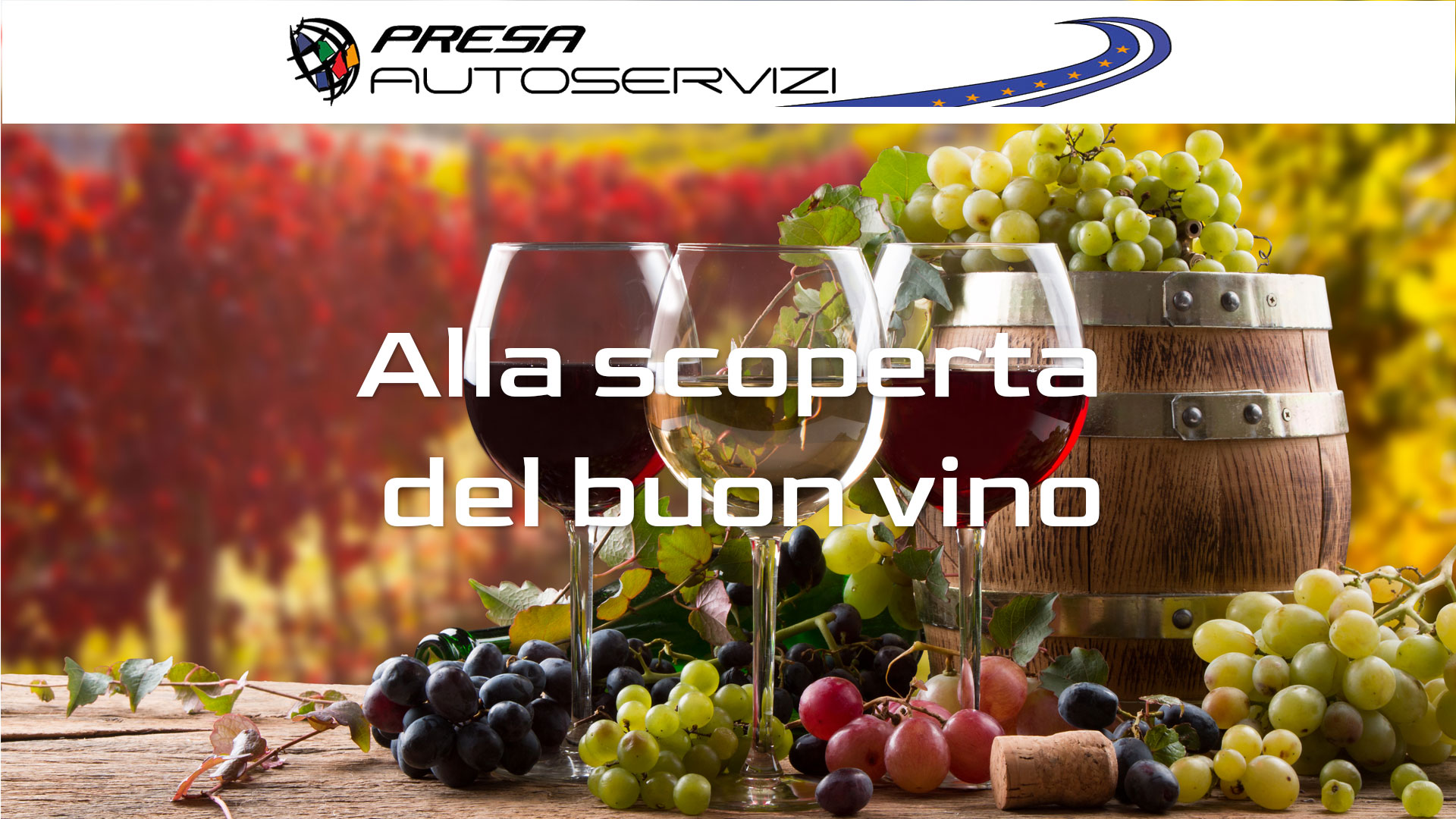 Alla scoperta del vino_Presa_Autoservizi_Ncc